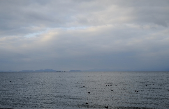 滋賀の旅 その2_e0000910_08334161.jpg