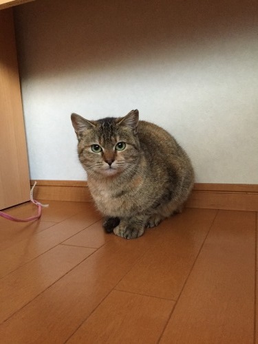 a0279024_19405287.jpeg