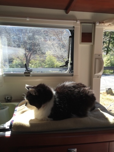 a0279024_20050313.jpeg