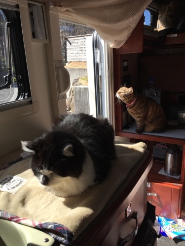 a0279024_20095376.jpeg