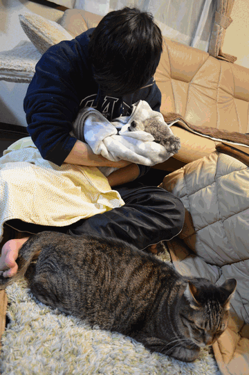 c0136736_22092657.gif