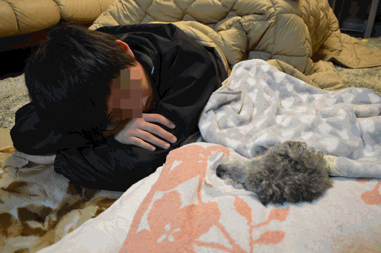 c0136736_22572508.gif
