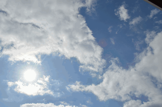 c0136736_23084975.gif