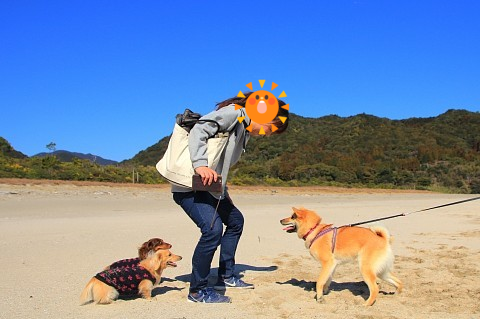 e0365036_13392482.png