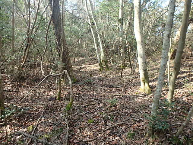 f0334143_9143290.jpg