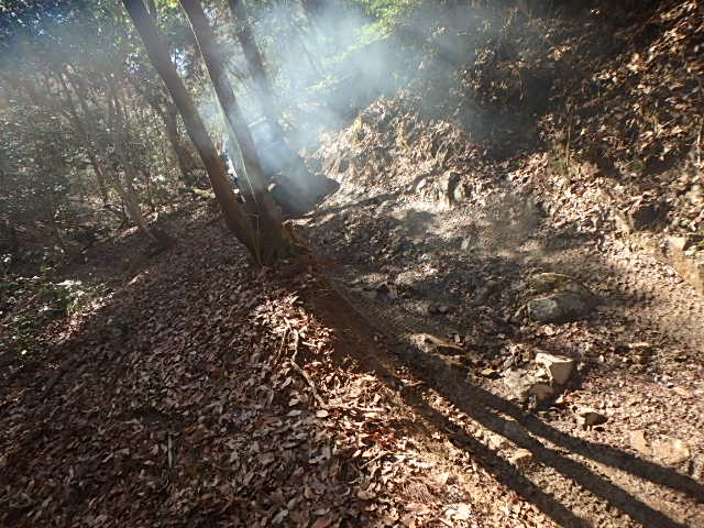f0334143_9161711.jpg