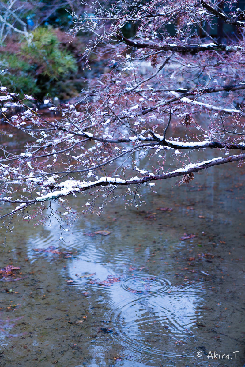 f0152550_21415067.jpg