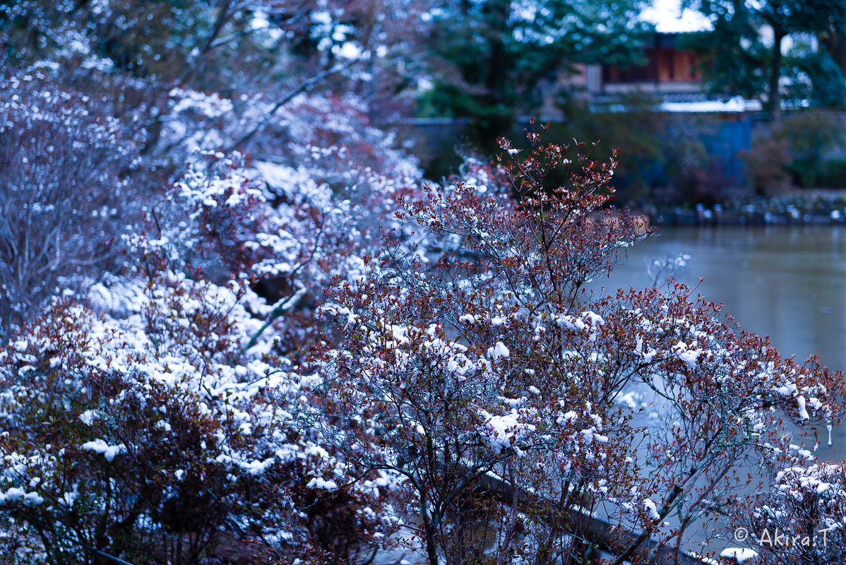 f0152550_21421344.jpg