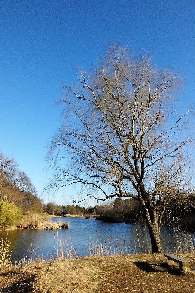 公園の風景_b0236251_11074672.jpg