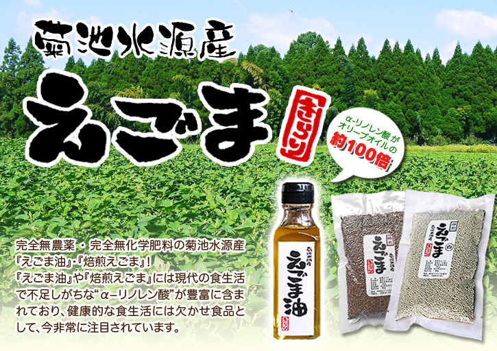 『えごま油』入荷しました！白、黒のエゴマ粒(実)も販売中！熊本県菊池水源産の無農薬栽培エゴマです!!_a0254656_174272.jpg