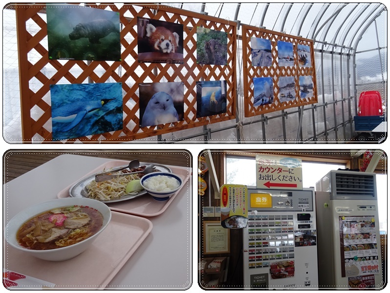 旭山動物園でランチ 雪の村 気ままな食いしん坊日記２