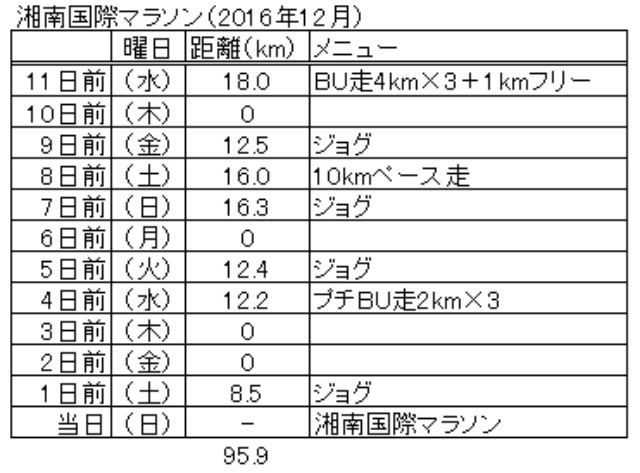 静岡マラソンまでの調整プラン_f0310282_19385687.png