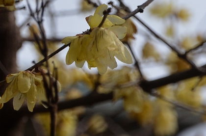 c0229483_1114449.jpg