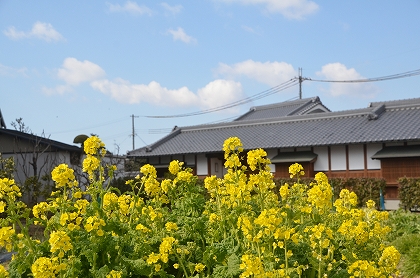 c0229483_11511881.jpg