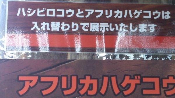 2月21日　本日はお休みなり_f0363287_21254082.jpg