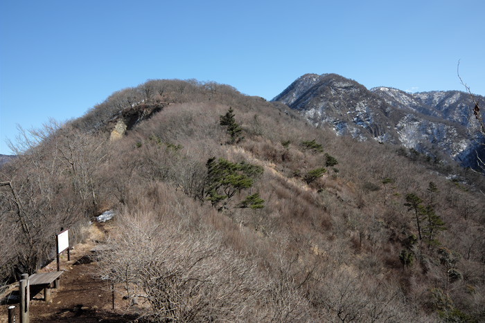b0339488_18071058.jpg