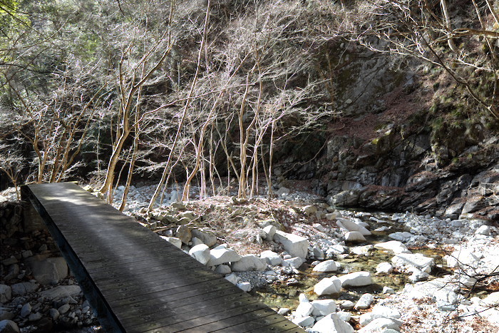 b0339488_18072540.jpg