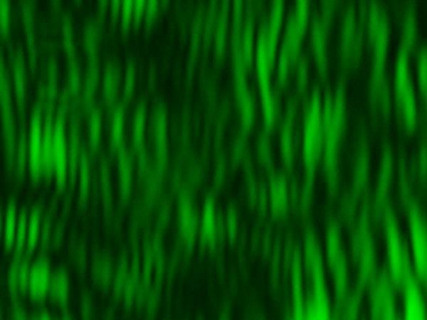 c0164709_20464054.jpg