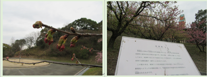 f0231709_1933193.png