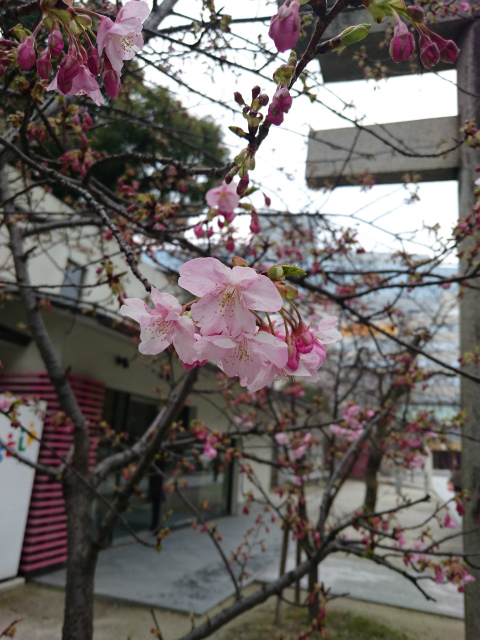 f0100911_2233785.jpg