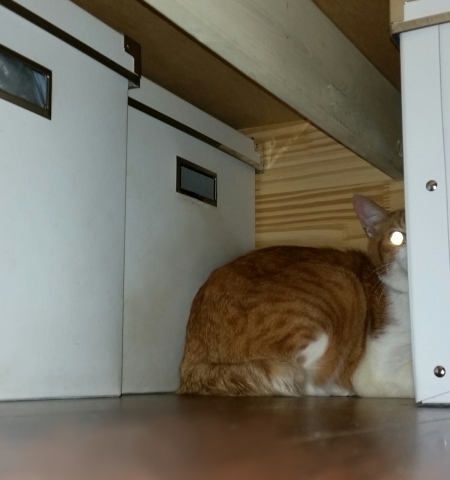 e0144012_02433337.jpeg