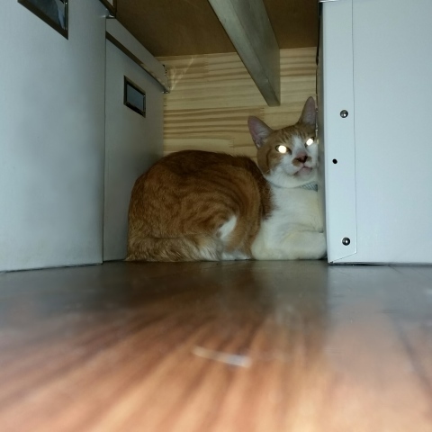 e0144012_02444307.jpeg