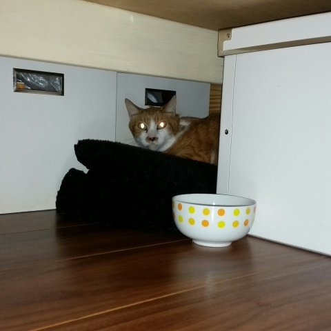 e0144012_09365824.jpeg