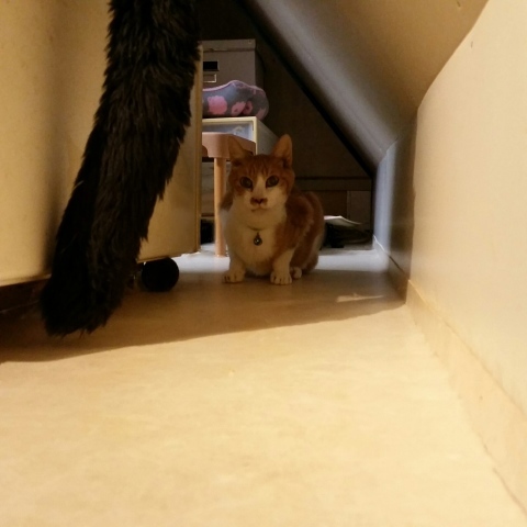 e0144012_14345230.jpeg