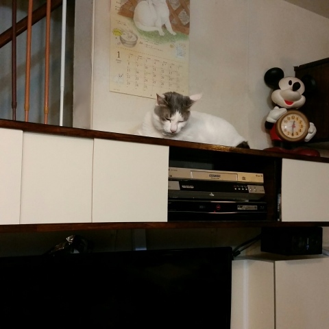 e0144012_15110959.jpeg