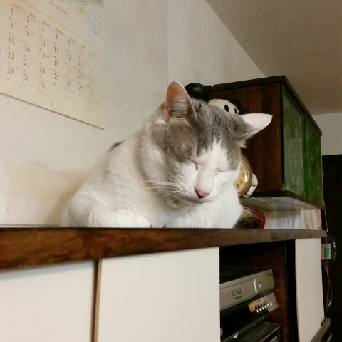 e0144012_15122015.jpeg