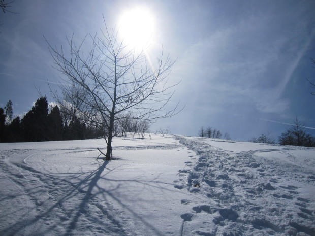 荒島岳ブナの森・雪上ハイク♪_d0103314_21251413.jpg