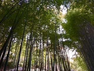 おかげさまで「5周年」感謝、感謝、感謝でいっぱいです_a0254125_00001850.jpg