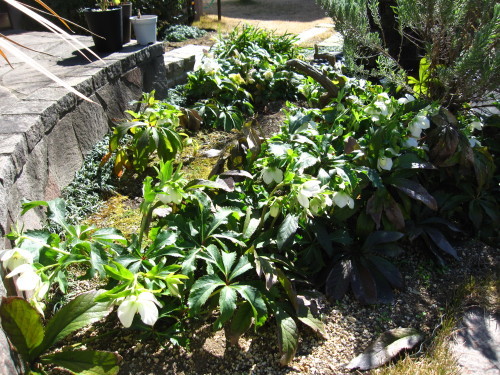 e0350927_10230708.jpg