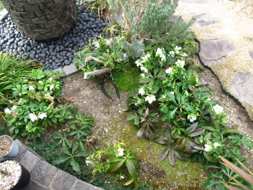 e0350927_11024965.jpg