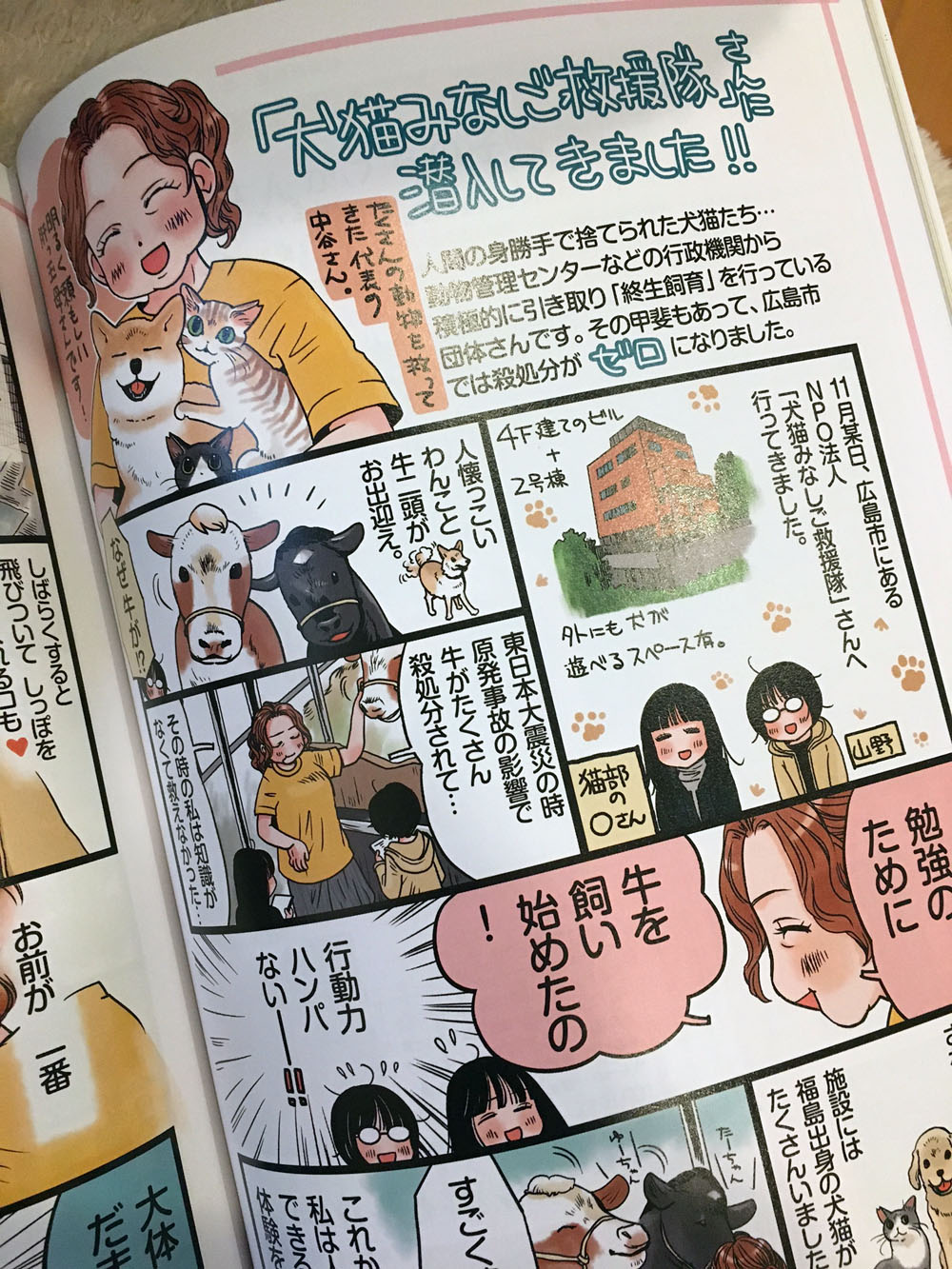 フェリシモ猫部オフィシャルパーフェクトBOOK Vol.2_d0118933_973713.jpg
