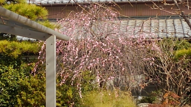 c0194042_14093606.jpg