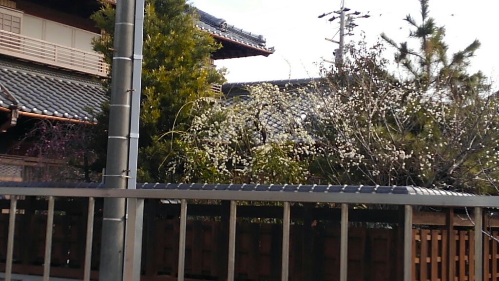 c0194042_14094034.jpg