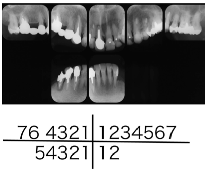 b0112648_15144402.png