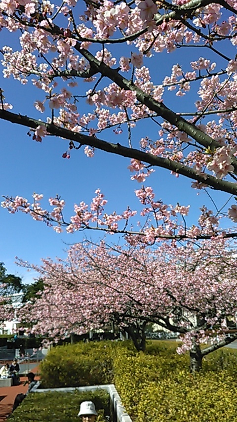 f0189650_14113572.jpg