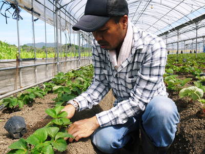 春が待ち遠しい！けどまだ来ないで！株式会社旬援隊の敷地内の様子と最旬食材の紹介！_a0254656_18424154.jpg