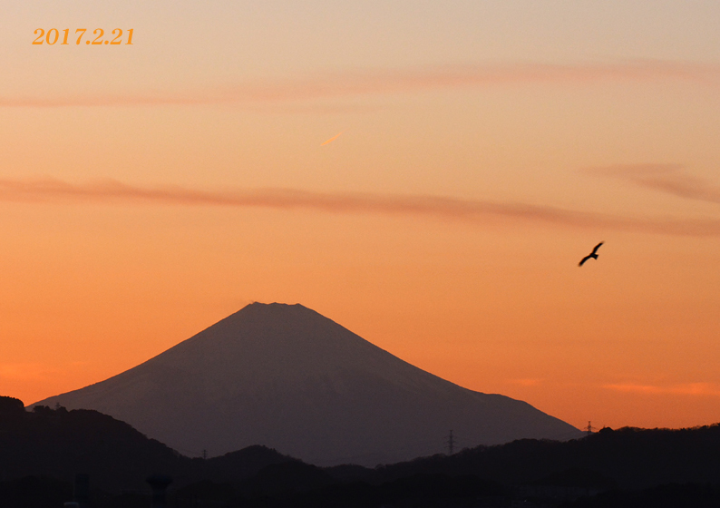 雲？ 煙？　『90km先の富士山』_d0251161_09484843.jpg