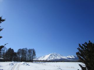 d0045362_18291848.jpg