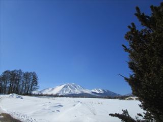 d0045362_18294040.jpg