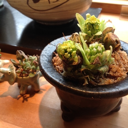 b0153663_00285529.jpeg