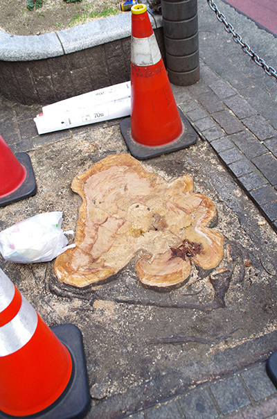 2月22日（水）今日の渋谷109前交差点_b0056983_11564813.jpg