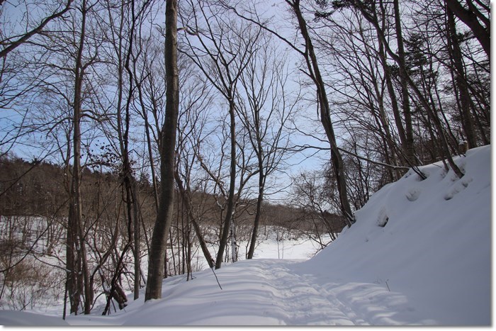 f0146493_23081112.jpg