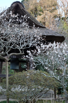c0339296_9293047.jpg