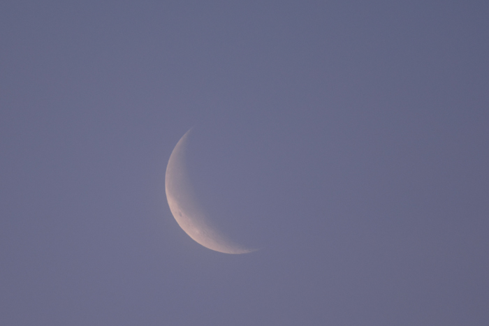 c0049299_22315376.jpg