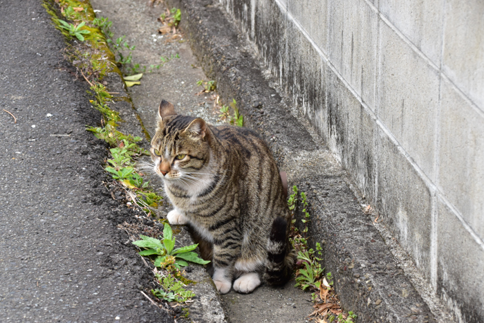 季節の変わり目に大接近！？　(^o^)_c0049299_22502054.jpg