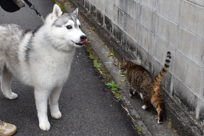 季節の変わり目に大接近！？　(^o^)_c0049299_22504419.jpg